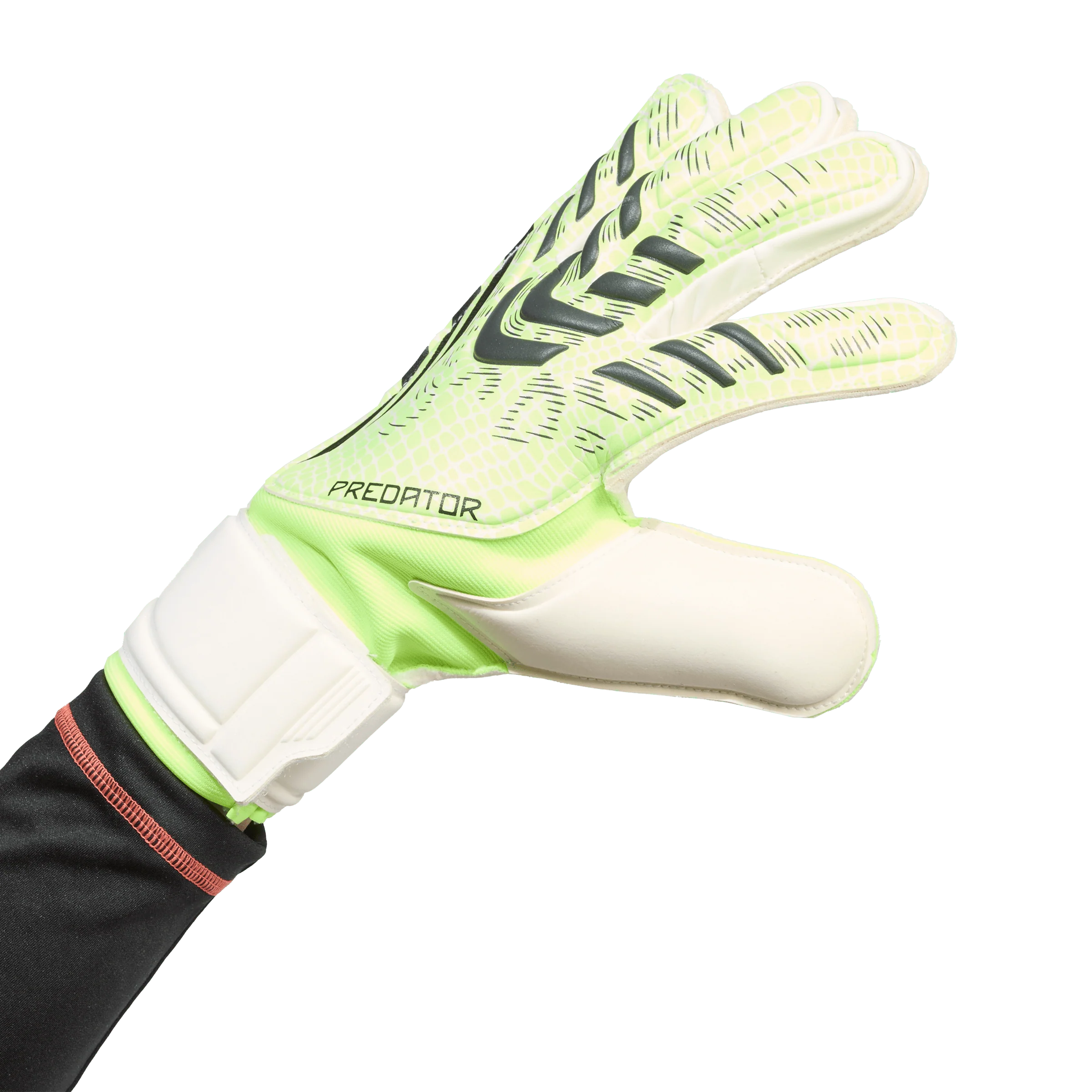 Adidas Predator Match Goalkeeper Gloves - Image 2