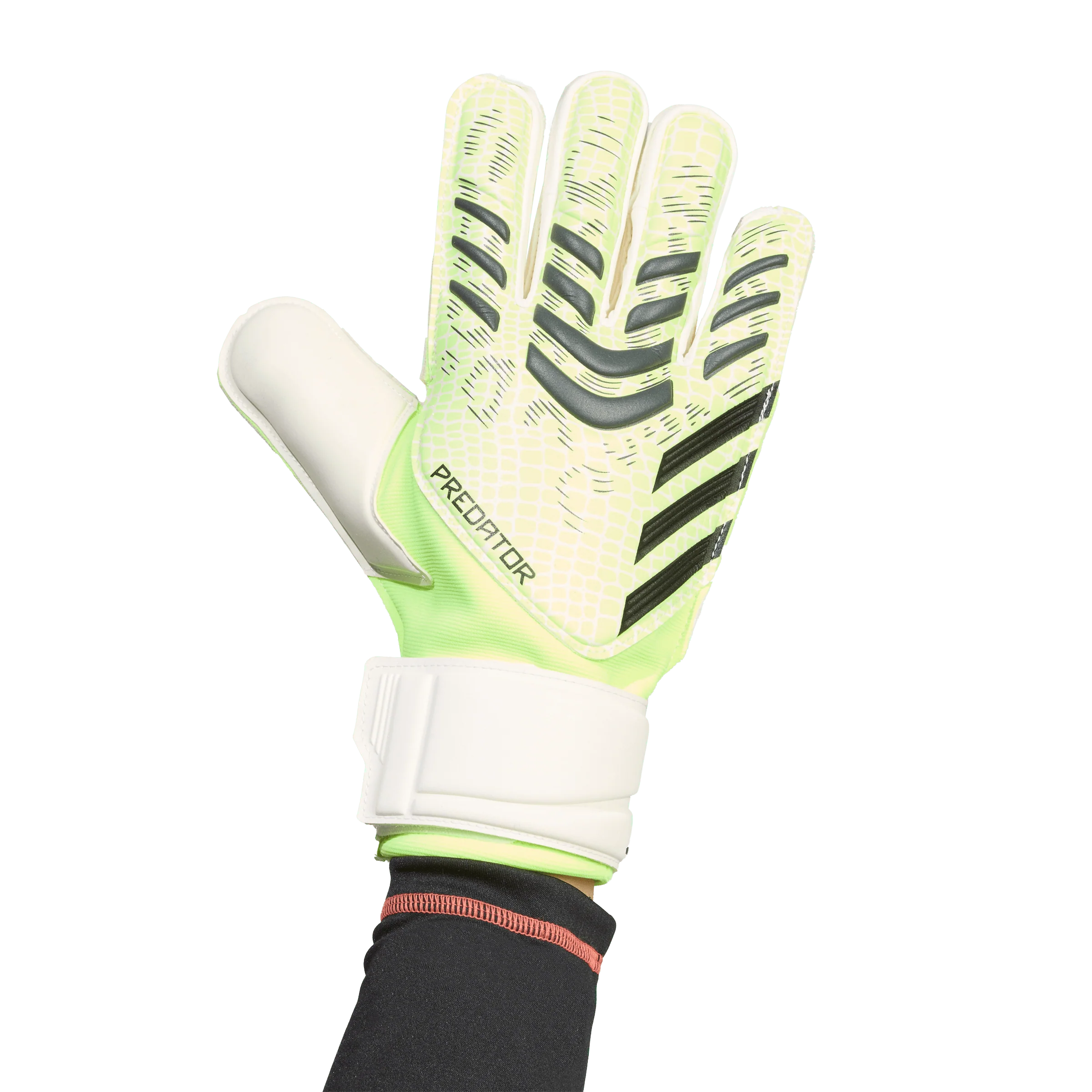 Adidas Predator Match Goalkeeper Gloves - Image 6